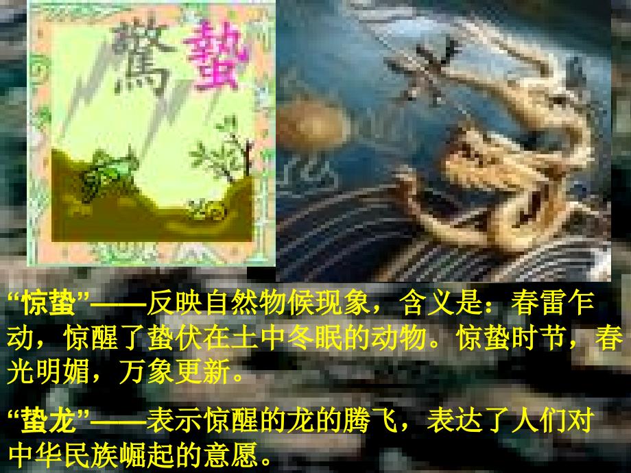 高一音乐 蛰龙飞起舞东方课件_第3页