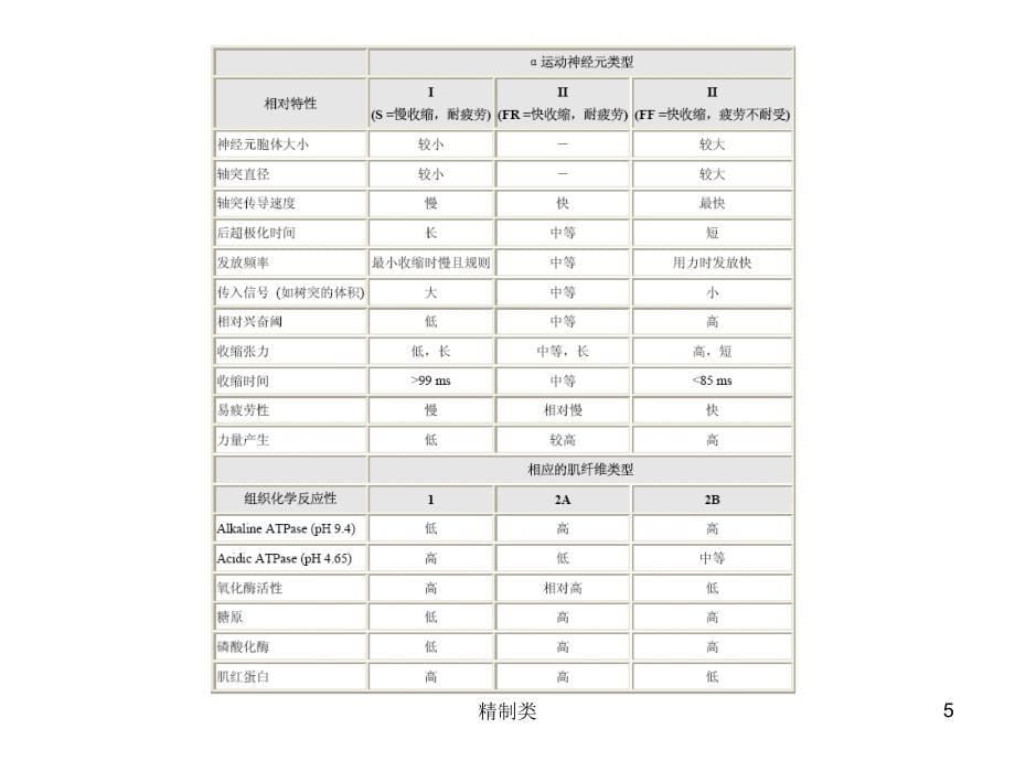 肌电图讲义（精制医学）_第5页