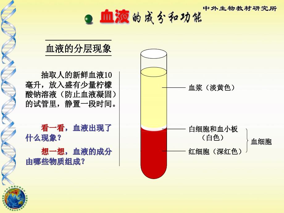 101血液与血型_第4页