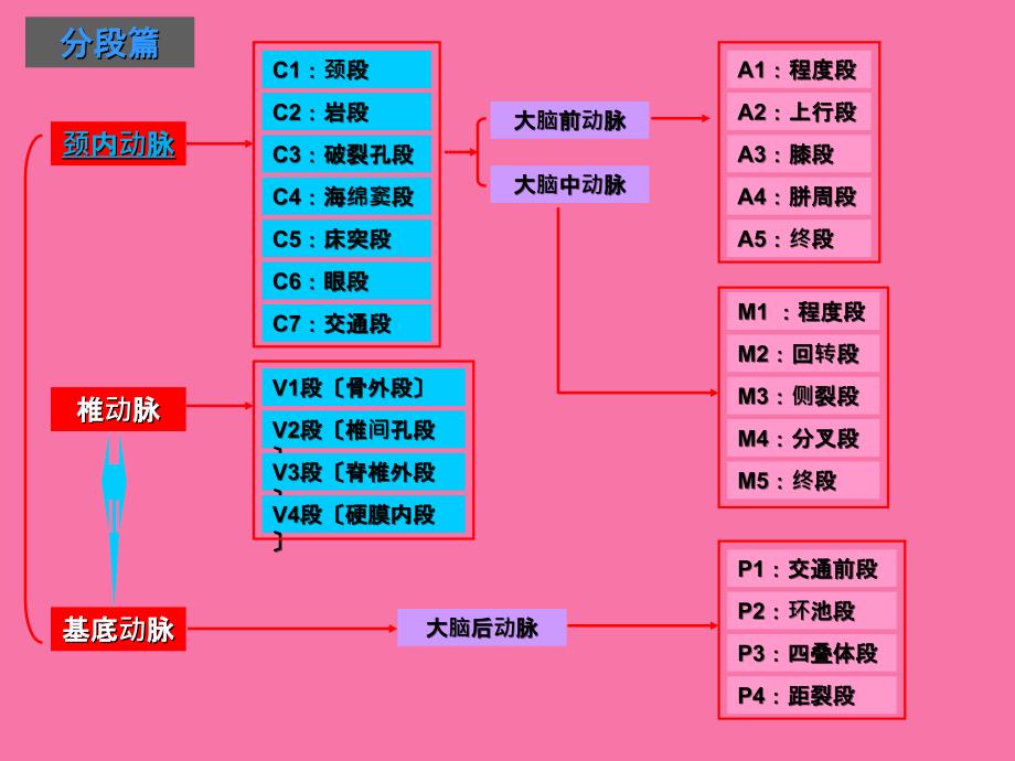 脑血管解剖1ppt课件_第3页