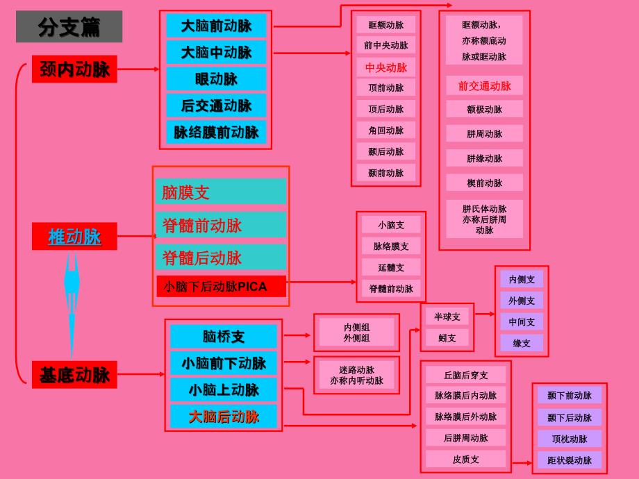 脑血管解剖1ppt课件_第4页