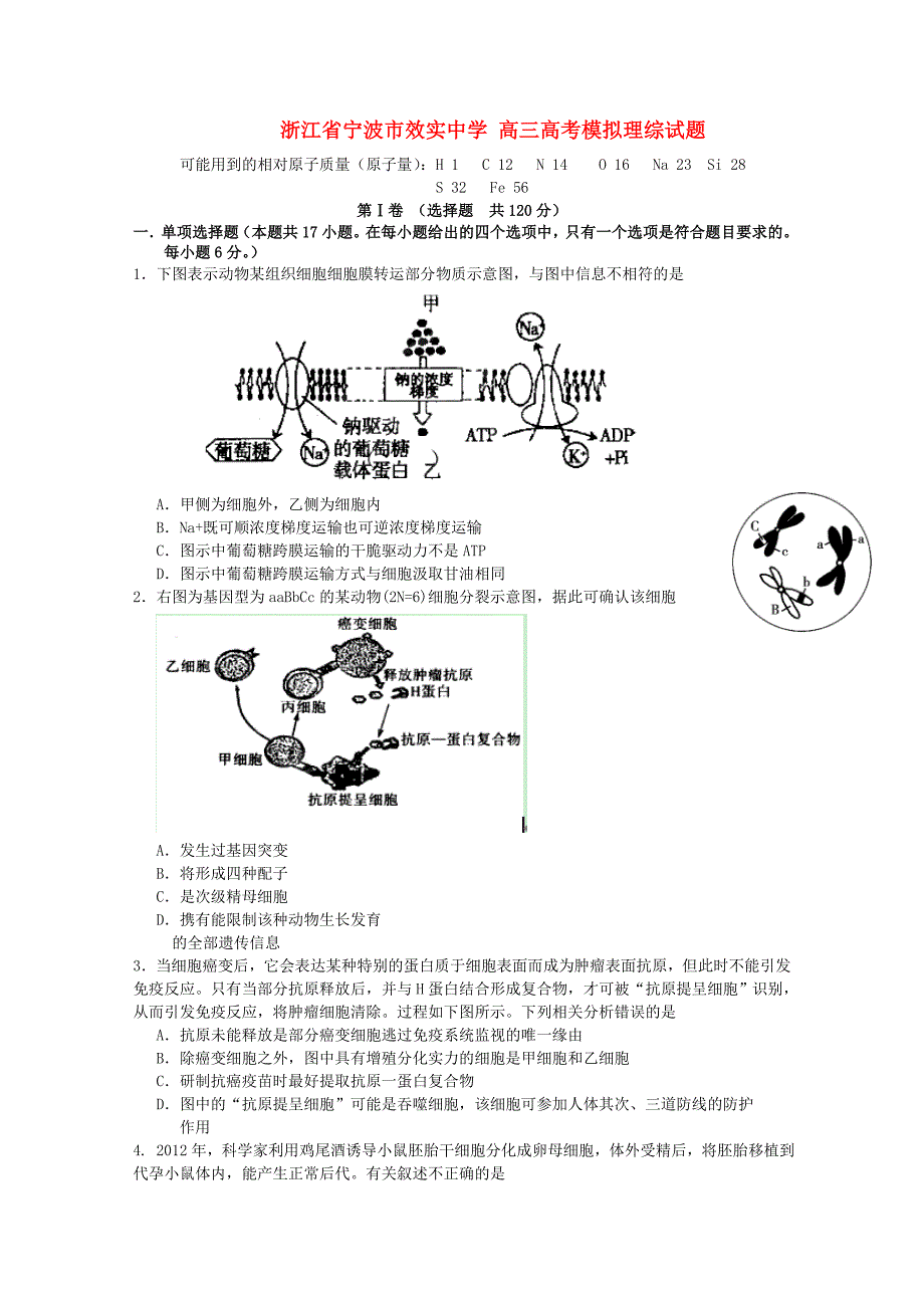 高考理综模拟试题_第1页