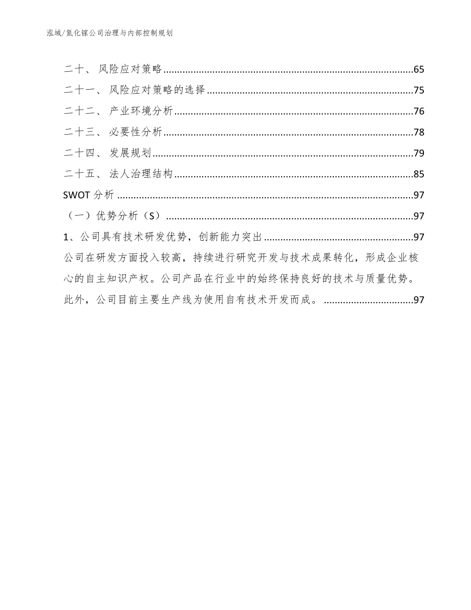 氮化镓公司治理与内部控制规划_第2页