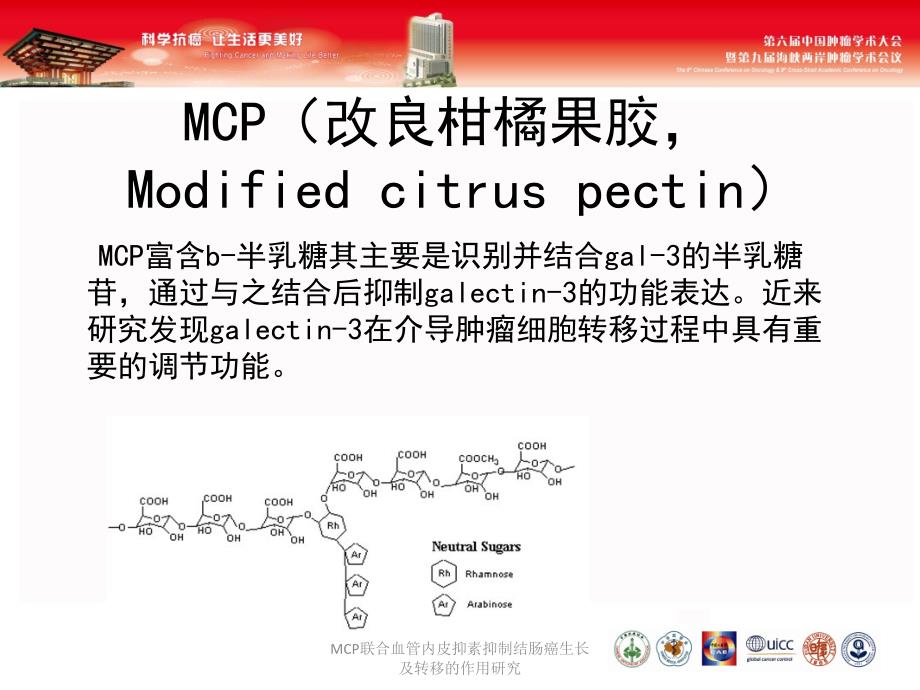 MCP联合血管内皮抑素抑制结肠癌生长及转移的作用研究课件_第3页