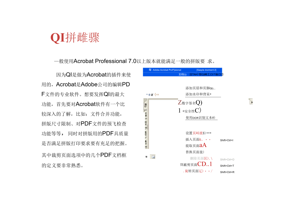 AdobeAcrobat拼版教程QI拼版步骤篇_第2页