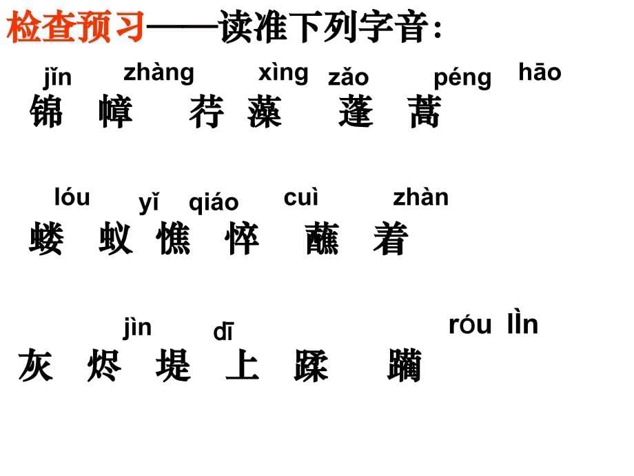 2《我用残损的手掌》课件（修）_第5页