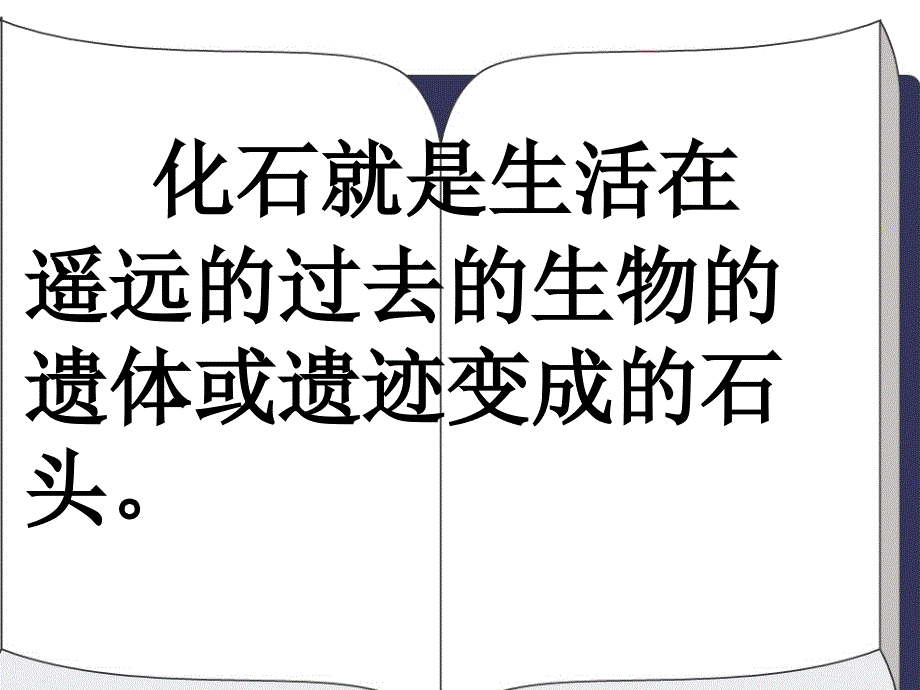 新课标人教版二年级语文上册《活化石》课件_第2页