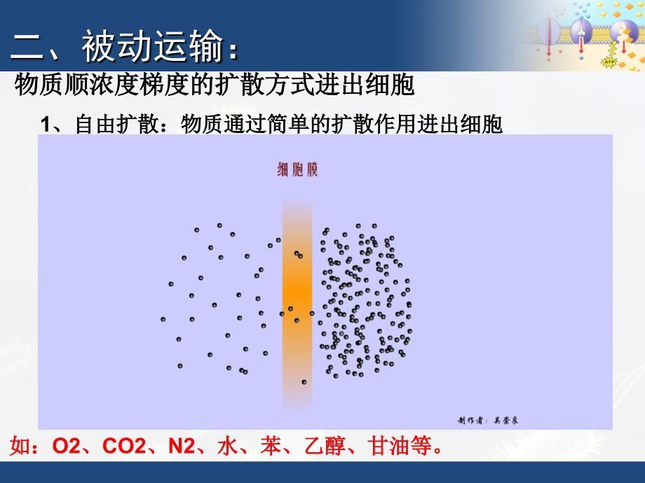 第四章第三节物质的跨膜运输的方式_第4页