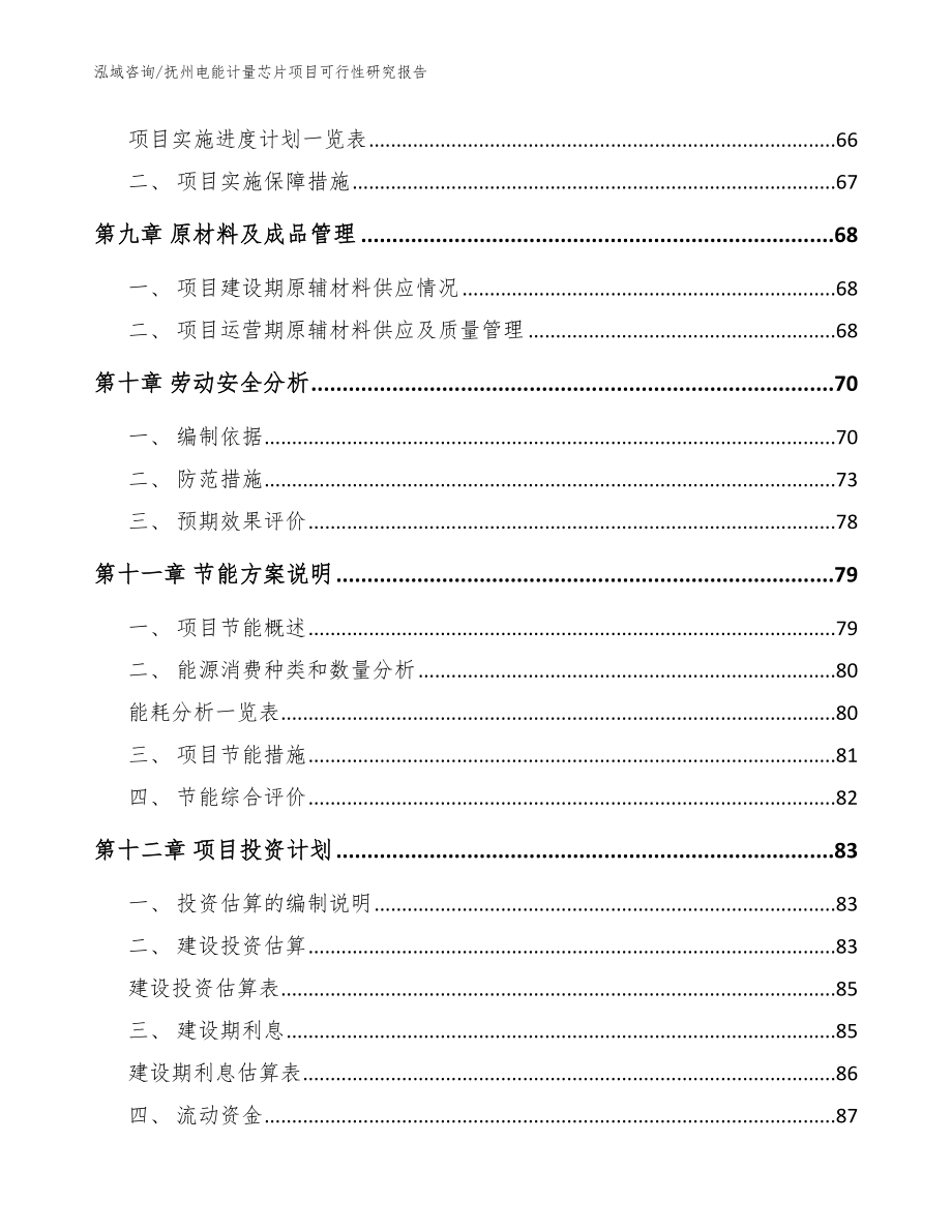 抚州电能计量芯片项目可行性研究报告_范文参考_第3页