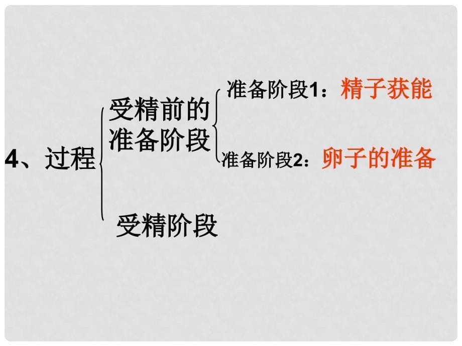 山东省临沂市高中生物 3.1 体内受精和早期胚胎发育课件 新人教版选修3_第5页