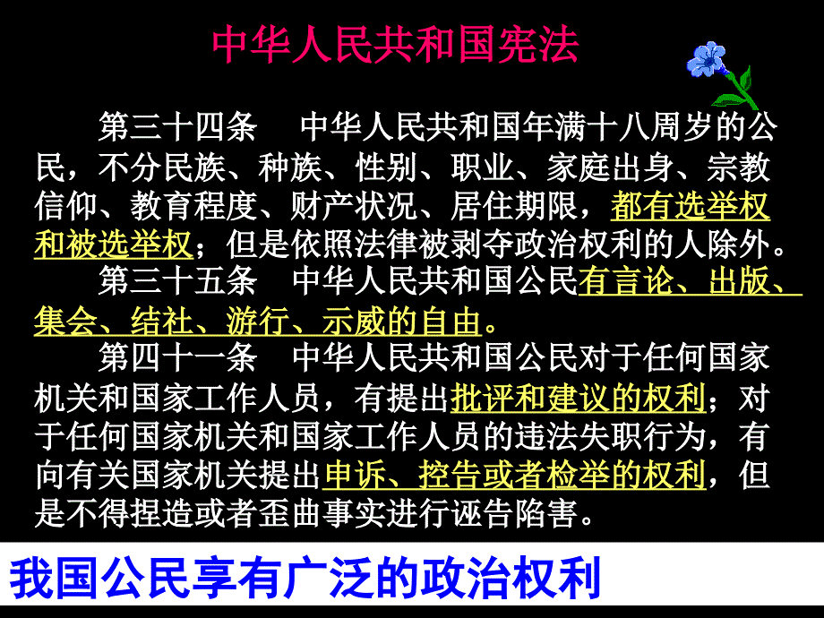 依法参与政治生活_第3页