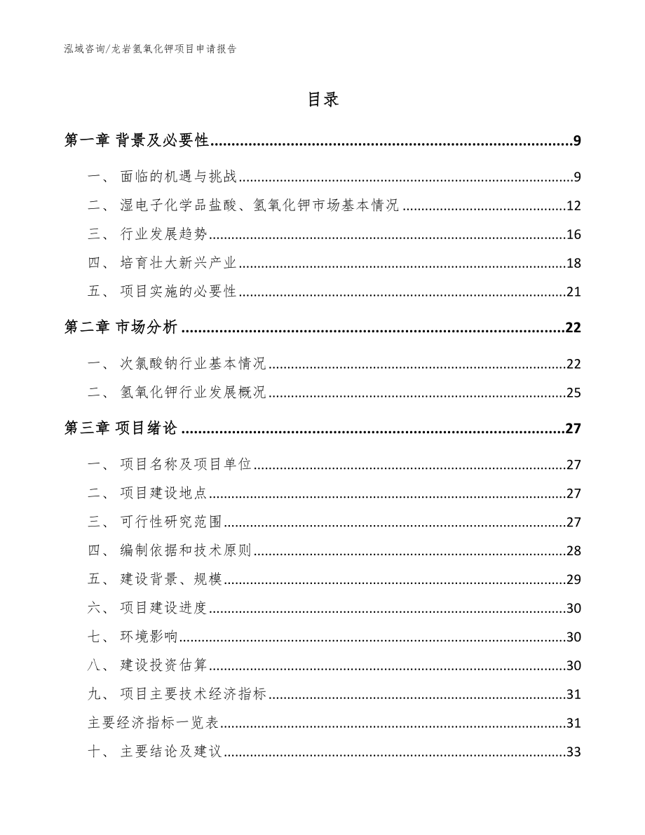 龙岩氢氧化钾项目申请报告【模板参考】_第1页