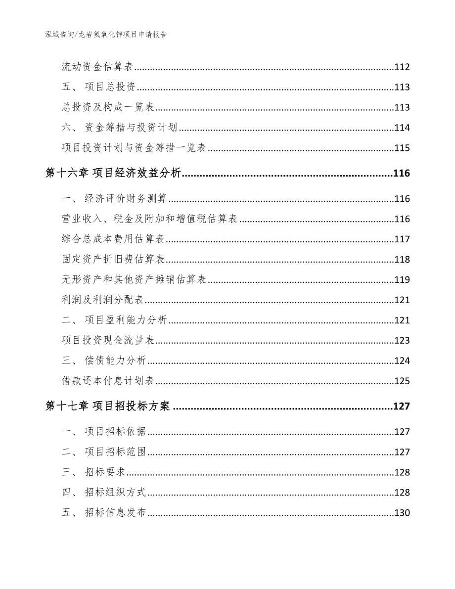 龙岩氢氧化钾项目申请报告【模板参考】_第5页