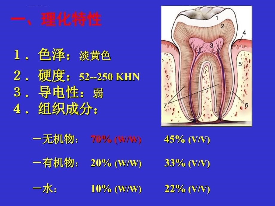 牙本质牙髓牙骨质ppt课件_第5页