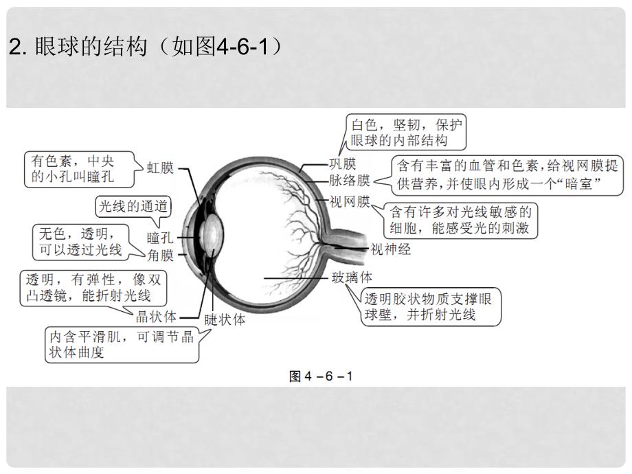 广东省中考生物 第四单元 第六、七章复习课件_第3页