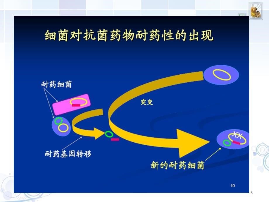 多重耐药菌ppt课件_第5页