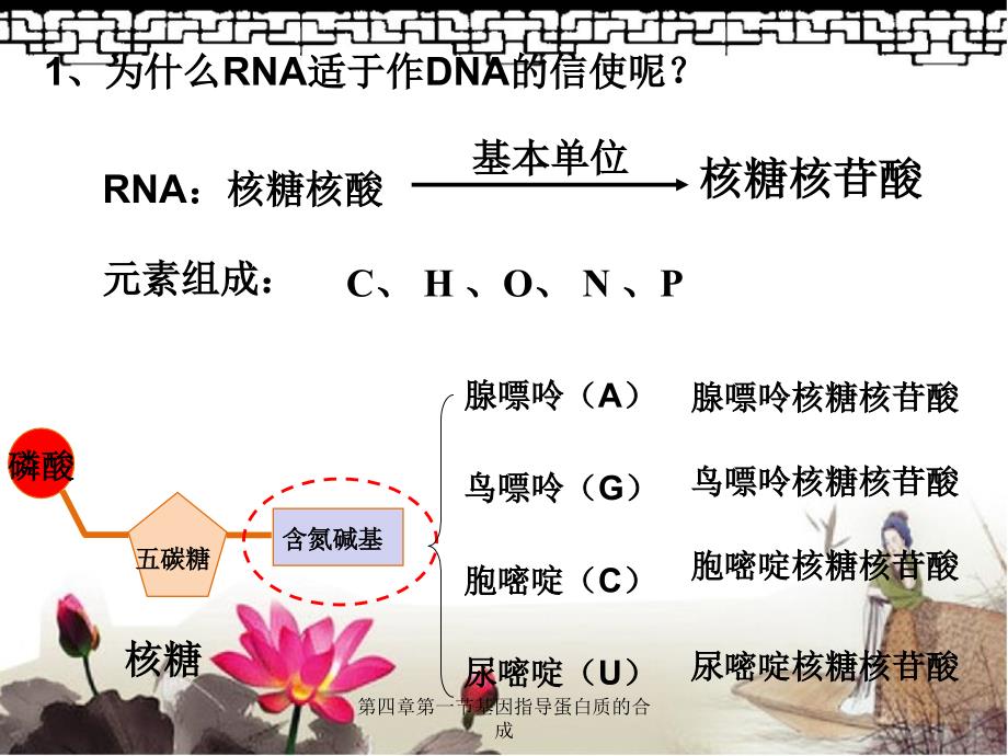 第四章第一节基因指导蛋白质的合成_第4页