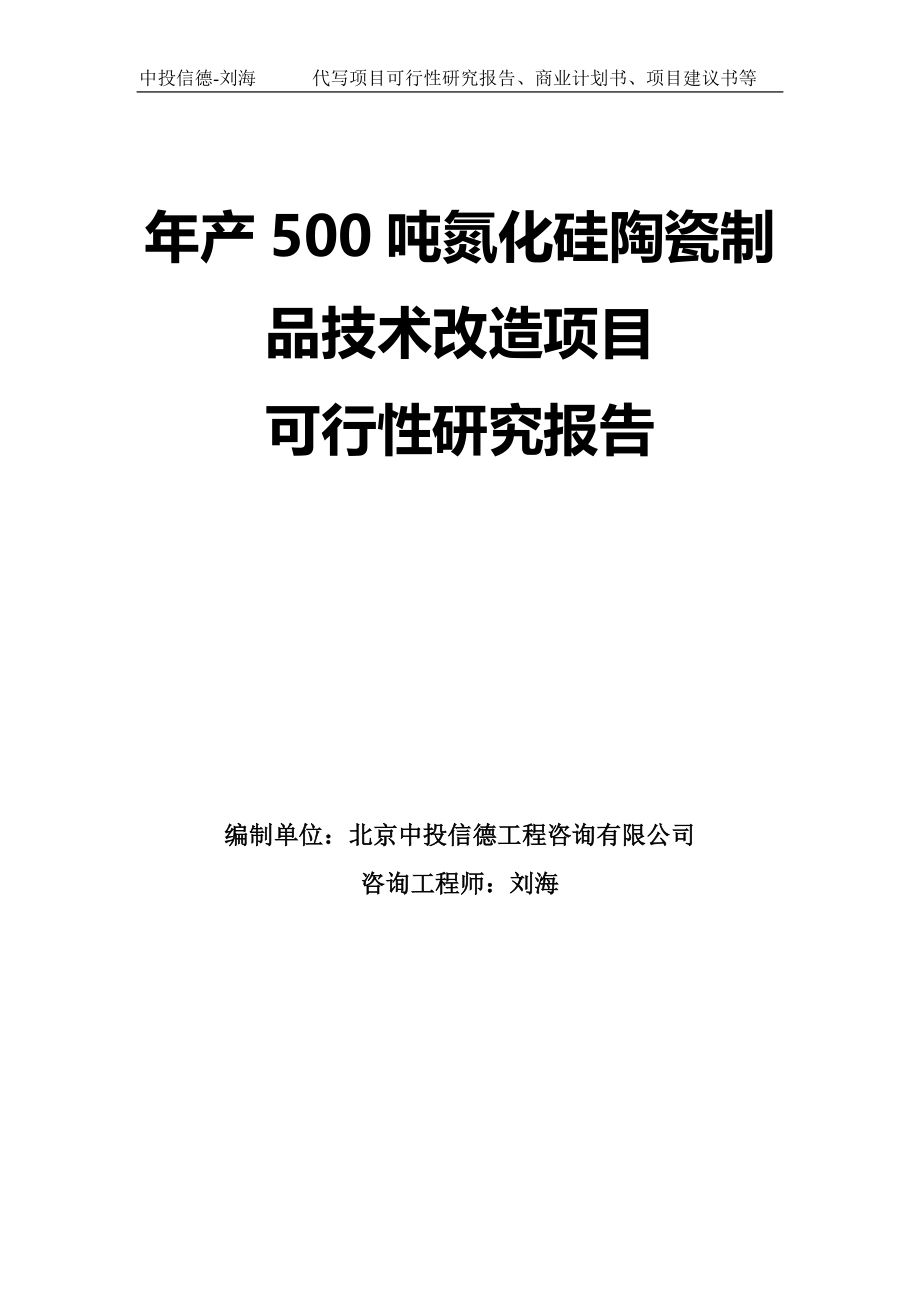 年产500吨氮化硅陶瓷制品技术改造项目可行性研究报告模板_第1页