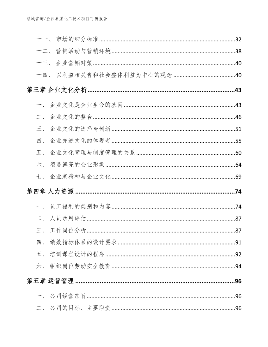 金沙县煤化工技术项目可研报告_模板参考_第2页