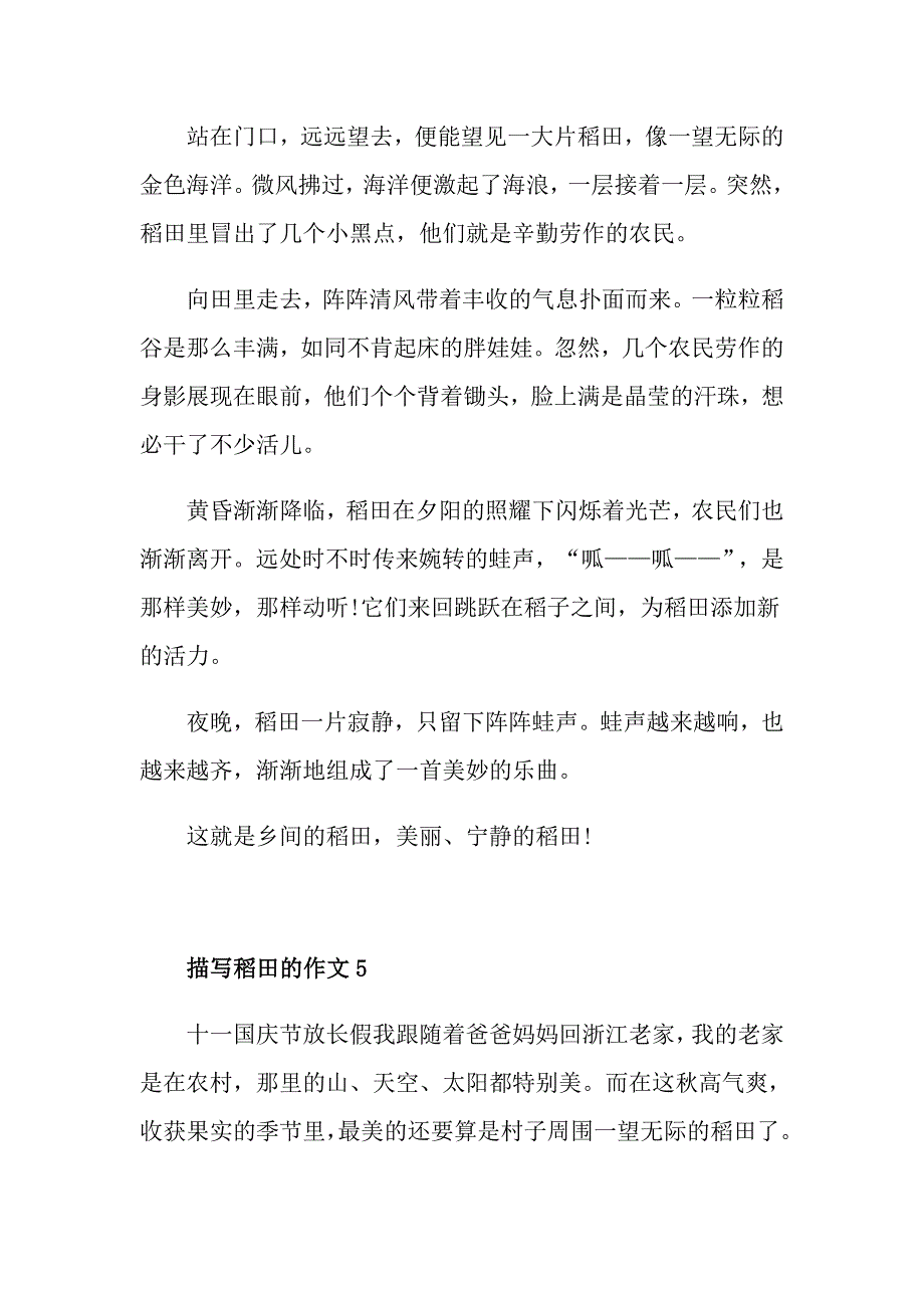 关于稻田的作文二年级350字精选范文_第4页