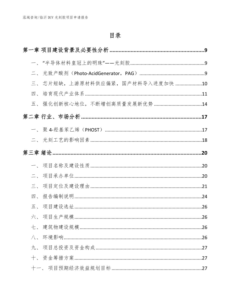 临沂DUV光刻胶项目申请报告_第1页