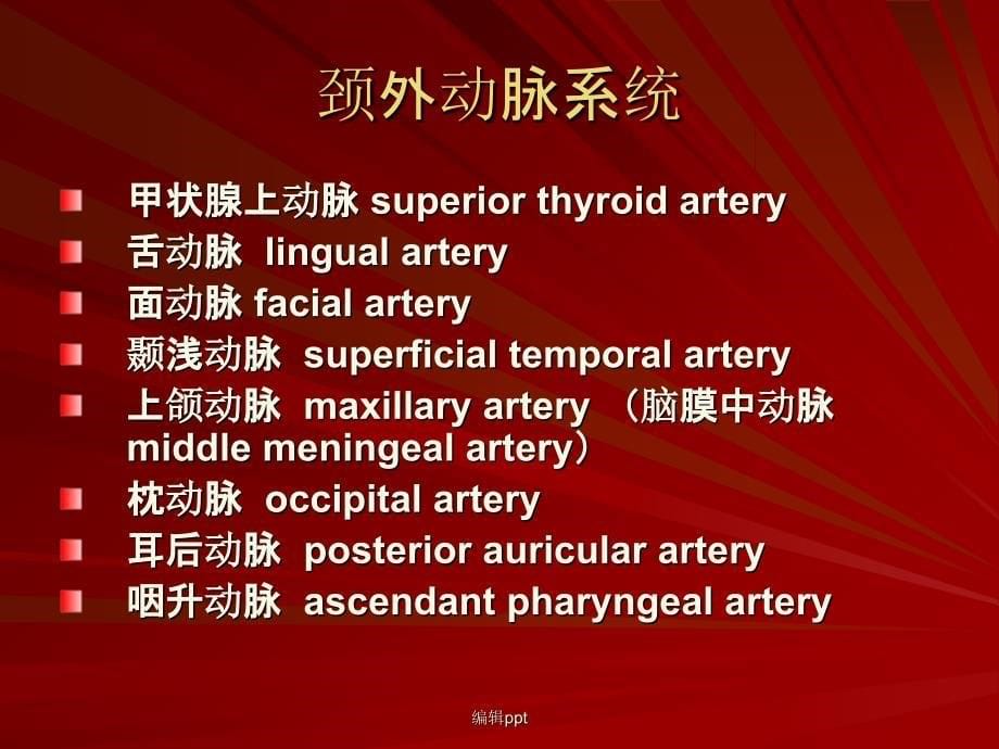 脑血管解剖脑动脉系1_第5页