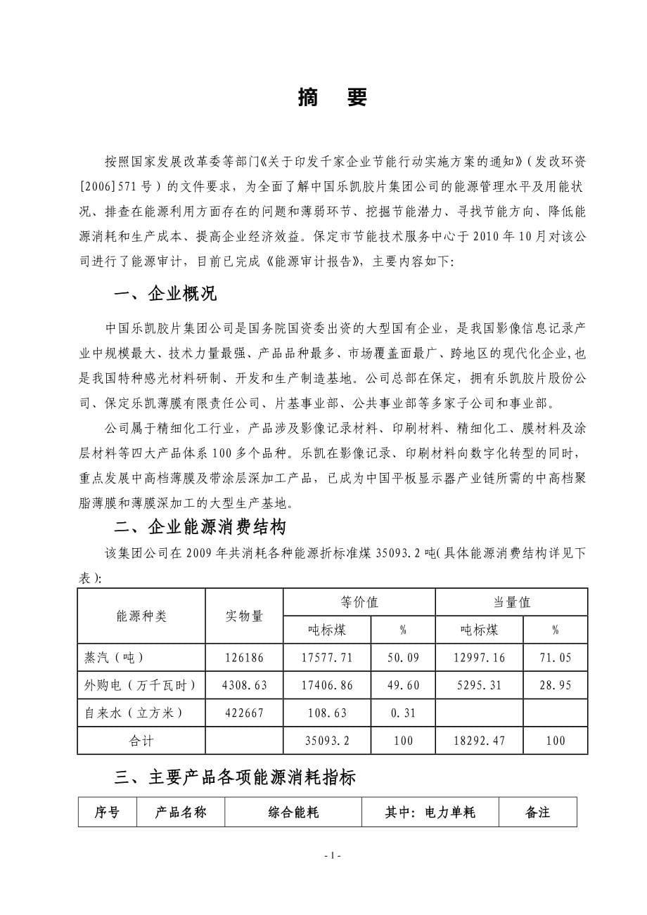 国中乐凯胶片集团公司能源审计报告.doc_第5页