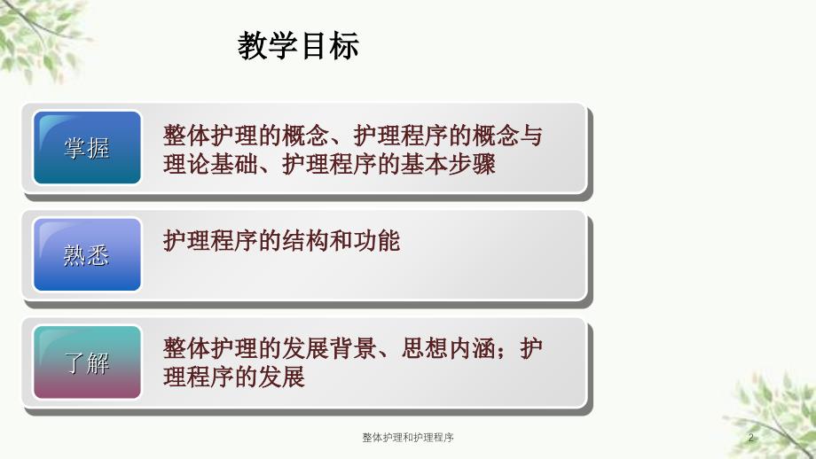 整体护理和护理程序课件_第2页