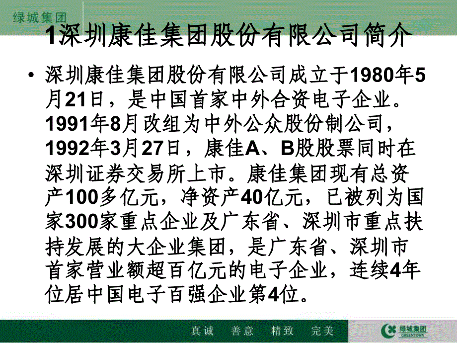 深圳康佳财务分析报告_第3页