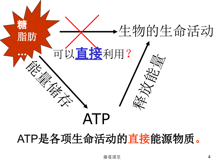 复习用细胞的能量通货—ATP【稻谷书苑】_第4页