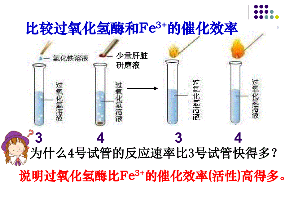 降低化学反应活化能的酶第二课时_第4页