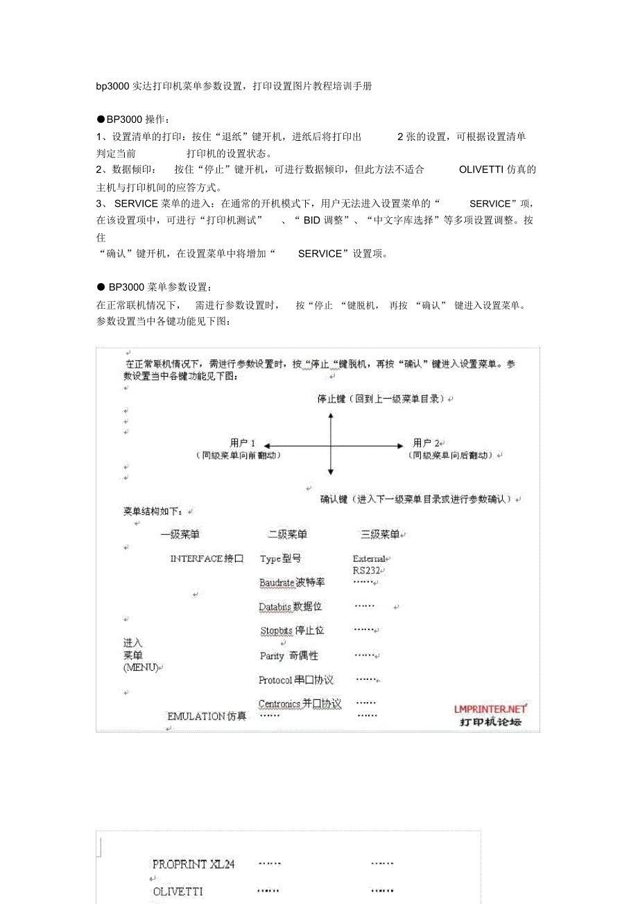 bp3000实达打印机菜单参数设置_第1页