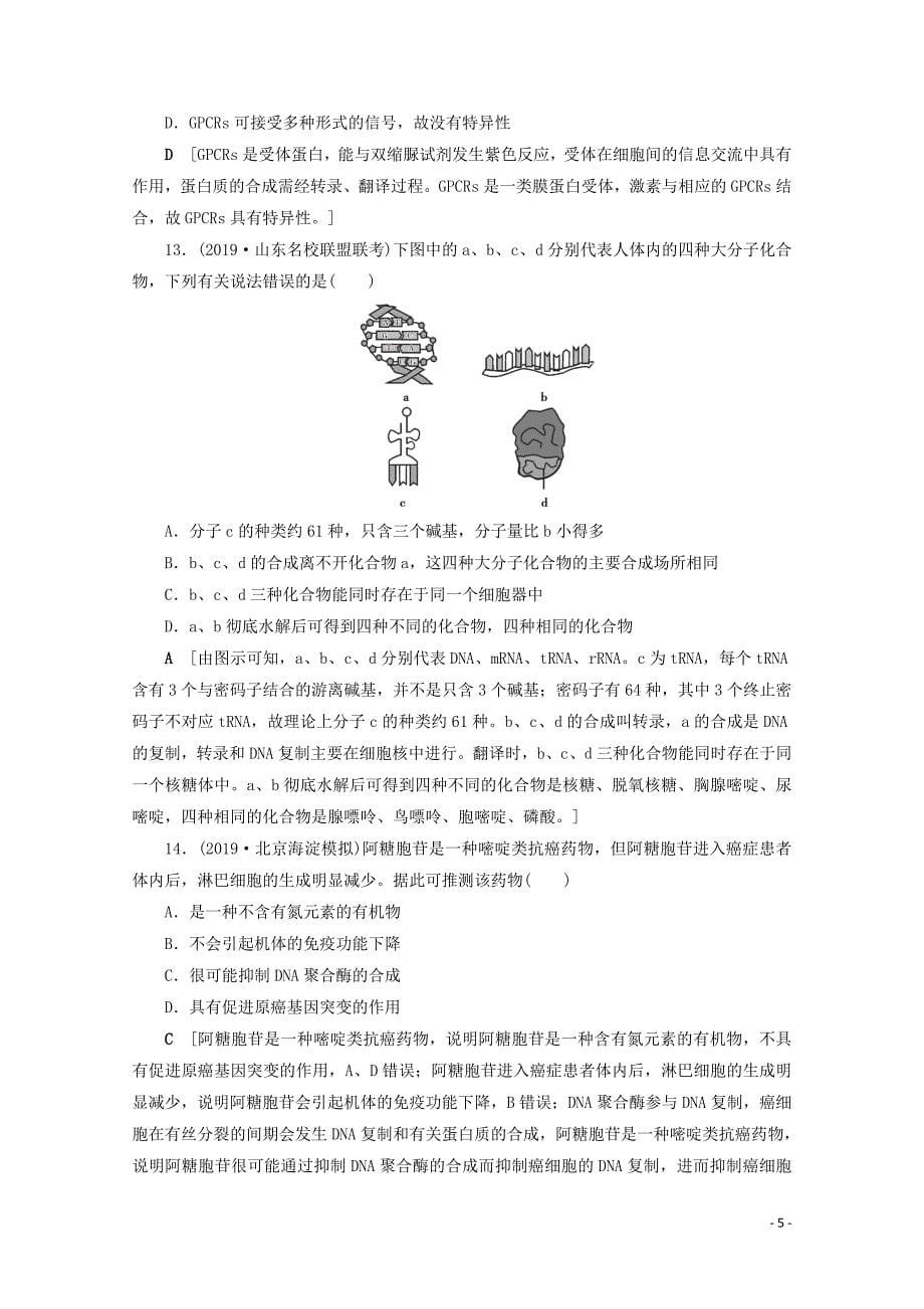 山东专用2021高考生物一轮复习课时作业3蛋白质和核酸含解析.doc_第5页