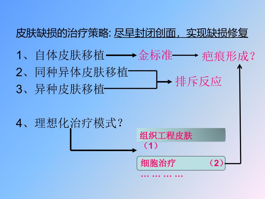 组织工程皮肤课件_第3页