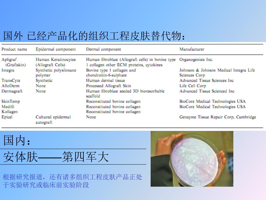 组织工程皮肤课件_第4页