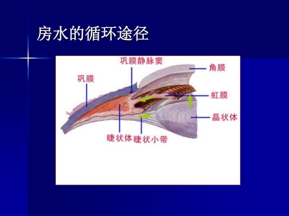 云南省曲靖医学高等专科学校五官科教研室_第4页