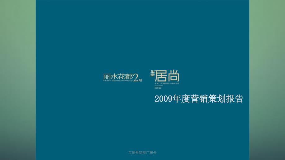 年度营销推广报告课件_第1页