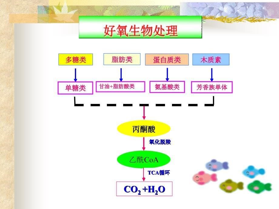 17水体污染-精品文档资料整理_第5页