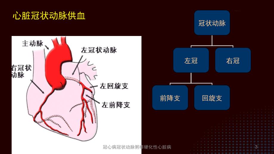 冠心病冠状动脉粥样硬化性心脏病培训课件_第3页