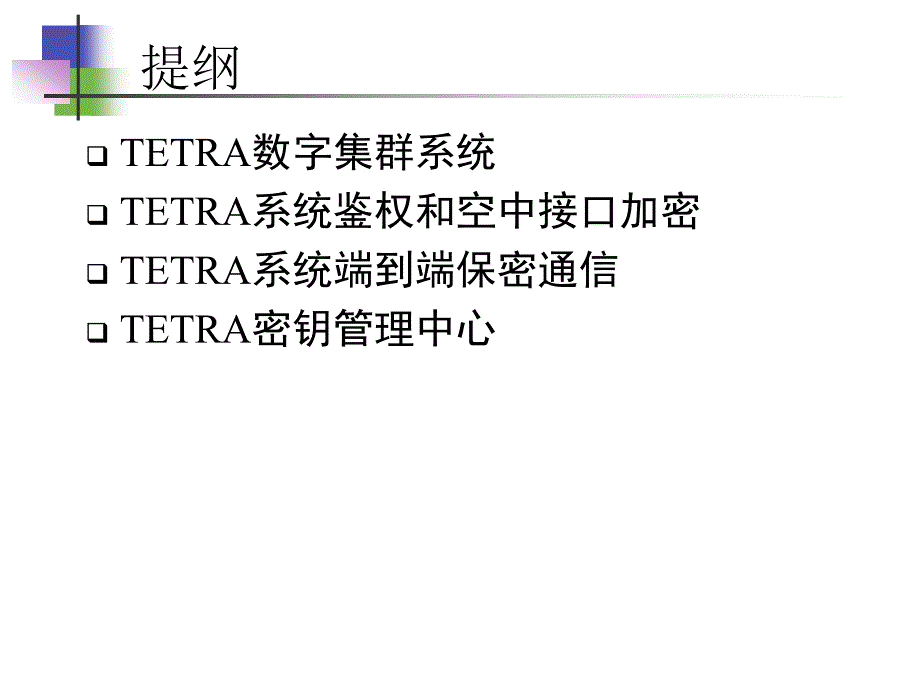 TETRA安全技术教学课件PPT_第2页