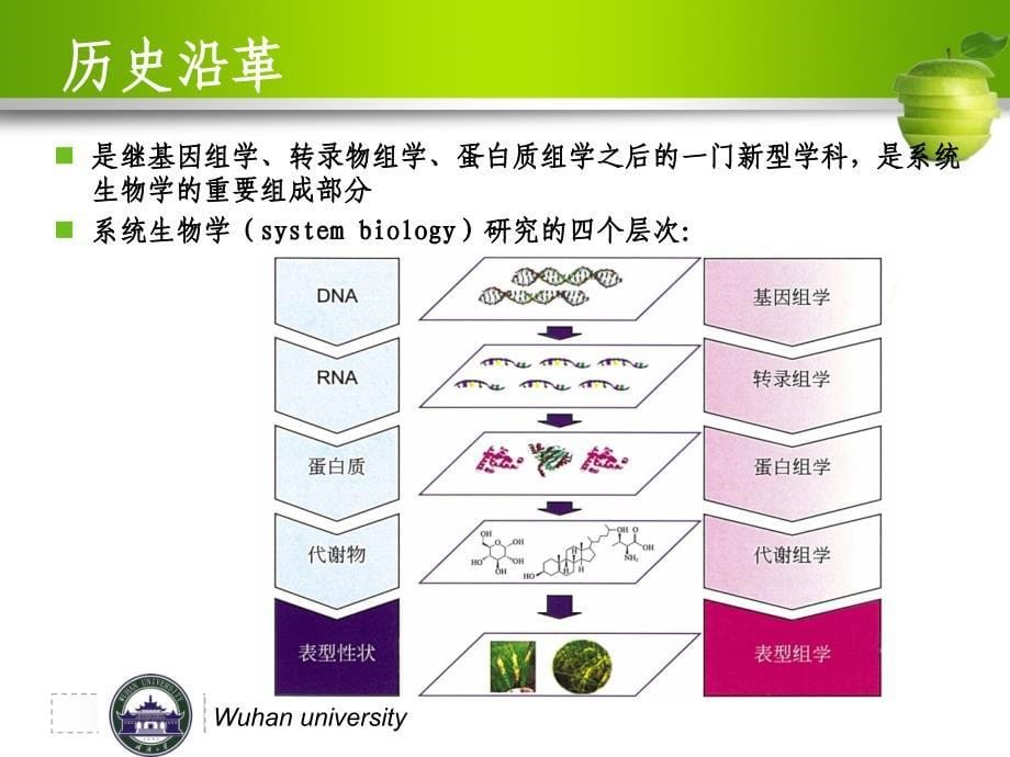 6代谢组学技术及其在中药研究中的应用_第5页