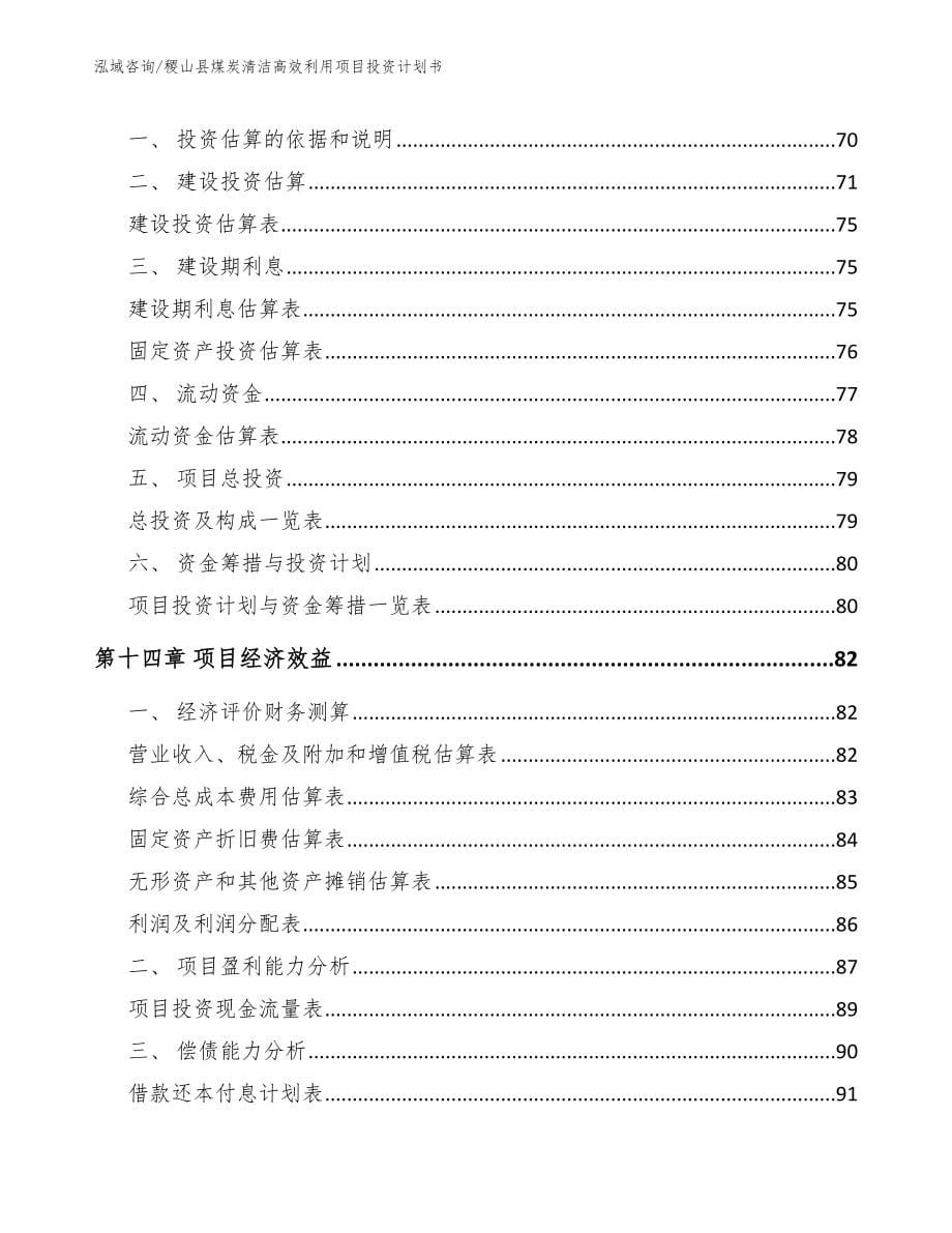 稷山县煤炭清洁高效利用项目投资计划书_第5页