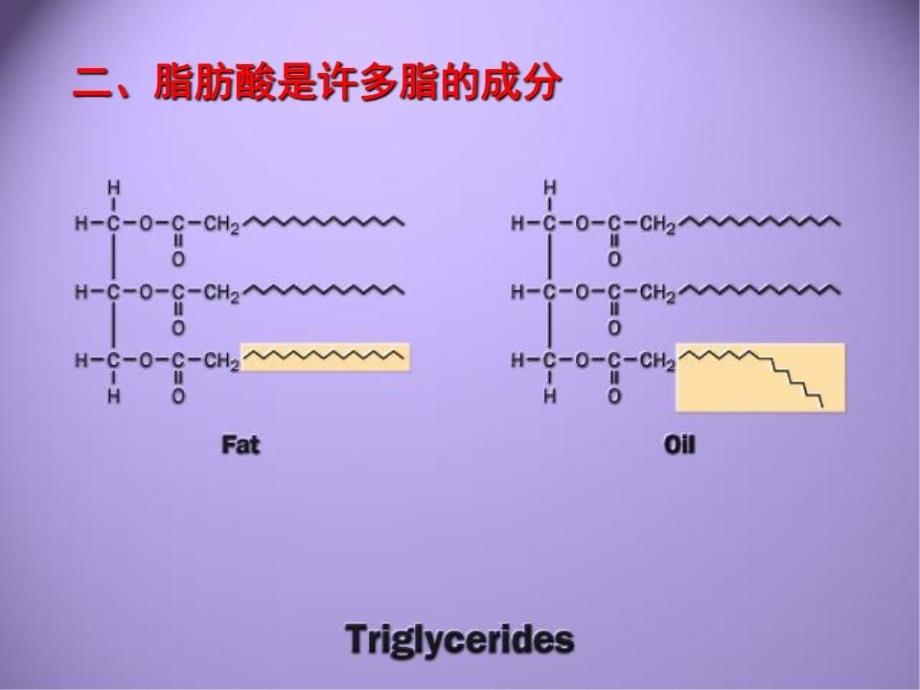 《脂和生物膜》PPT课件.ppt_第3页