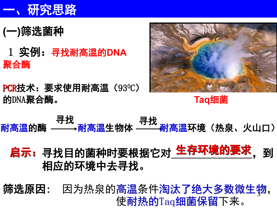 课题2土壤中分解尿素的细菌的分离与计数分享资料_第3页