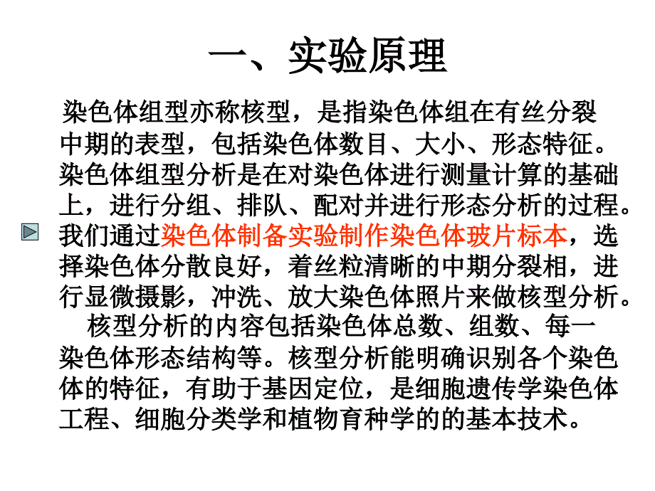 实验七染色体的组型分析PPT课件_第2页