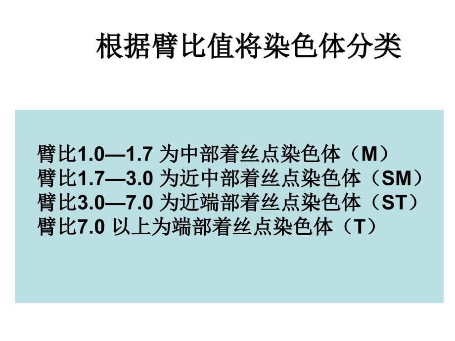 实验七染色体的组型分析PPT课件_第5页