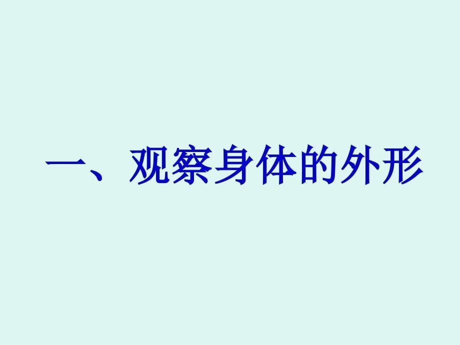 《身体的结构》PPT课件讲课讲稿_第5页