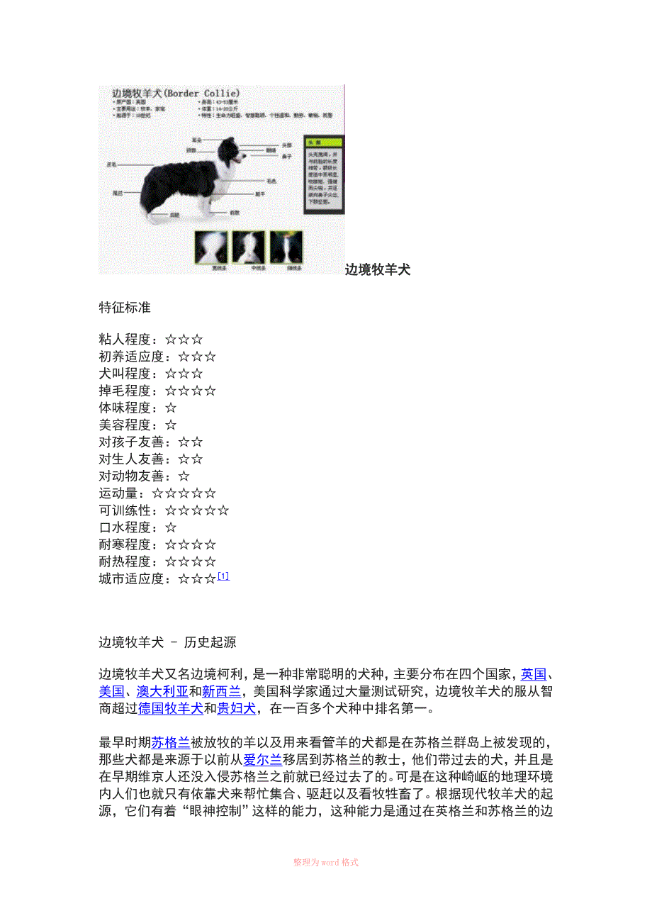 边牧训练步骤_第3页