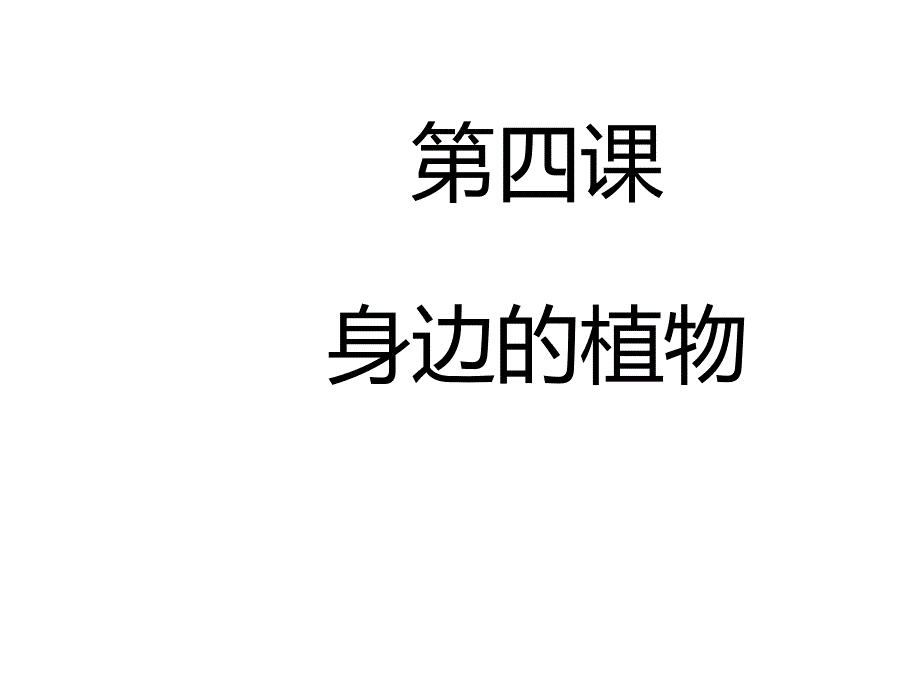 一年级上册科学课件第四课身边的植物冀教版(共25张)_第1页