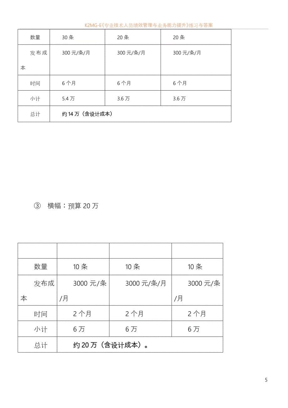 广告推广方案和预算_第5页